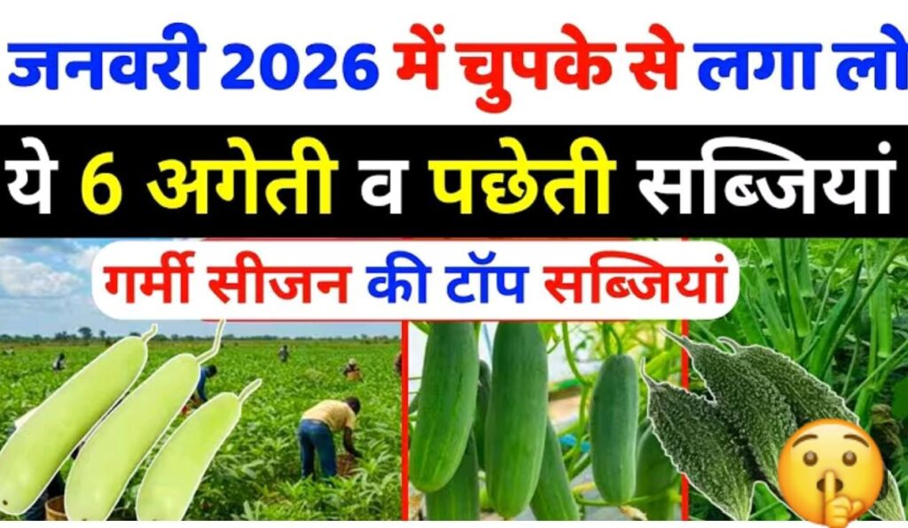 लगायें ये सब्जीया, बिकेगी 100₹ किलो, 30 दिन मे मालामाल